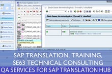 SAP TRANSLATION1.jpg
